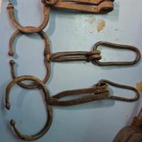 Nasiera antica per buoi e vacche