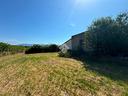 rustico-a-san-cesareo