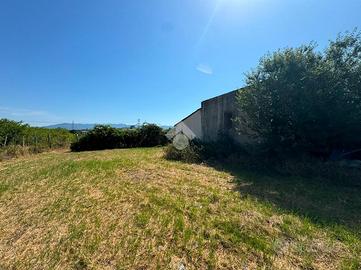 RUSTICO A SAN CESAREO