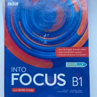 Into Focus B1
