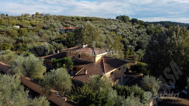 Villa unifamiliare immersa nel verde divisa in 4 a