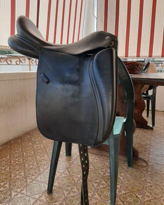 Dressage