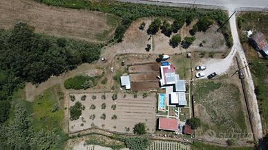 Casa con terreno, piscina ed ulivi