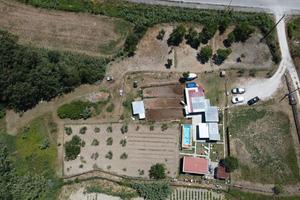 Casa con terreno, piscina ed ulivi