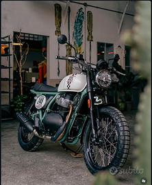 Royal enfield Bear