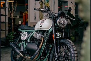 Royal enfield Bear