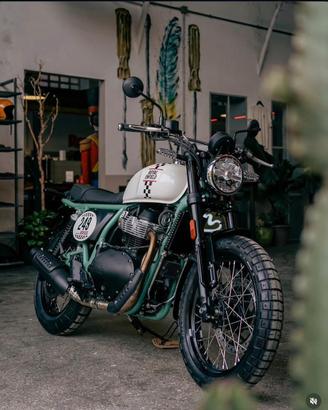 Royal enfield Bear