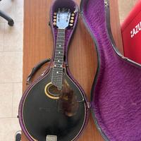 mandolino GIBSON A-4