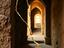 Immagine 6