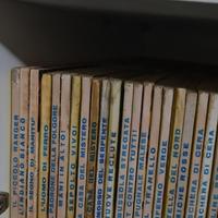 piccolo ranger blocco