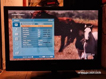 Televisore Sony 46 pollici