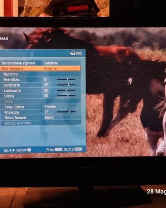 Televisore Sony 46 pollici