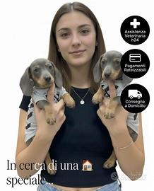 Bassotto-Bassotti Pagamento Rate