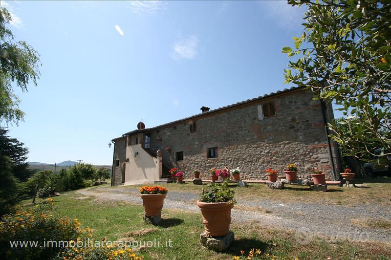 AG32 - Radicofani azienda agricola in posi - Vista 4