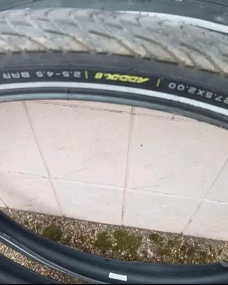 pneumatici antiforatura  schwalbe 