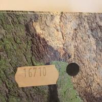 Contro Scatola Rolex Gmt 16710 Originale