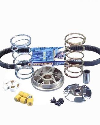 Variatore Polini 2414602 scooter Piaggio