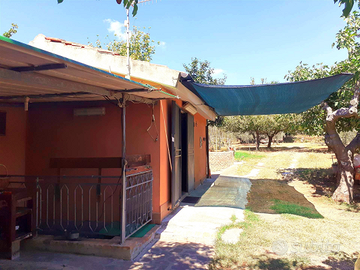 Agricolo con terreno di 5300 mq