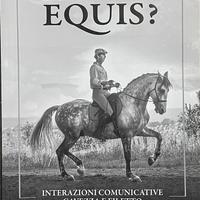 Do You Speak EQUIS?