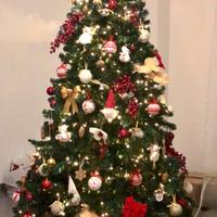 Albero di Natale