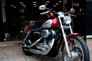 Harley-davidson 1200C Sportster Custom