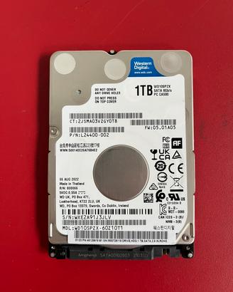 Hard disk Western Digital 1tb