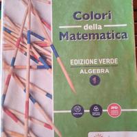 Libro di algebra per biennio istituto tecnico 