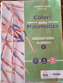 Libro di algebra per biennio istituto tecnico 