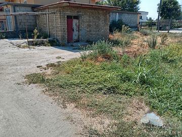 Terreno agricola Acerra