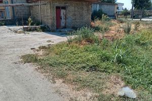 Terreno agricola Acerra