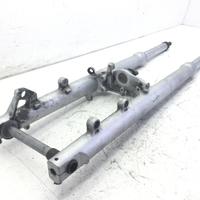 FORCELLA - RUGGINE SU PARTE ALTA STELI E PARAOLI K