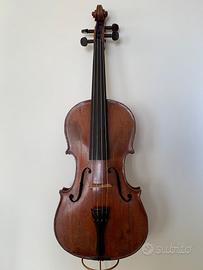 VIOLA DELL'OTTOCENTO