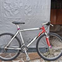 mauntebike in alluminio ruote da 26 