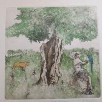 IL SOGNO DELLE TAMERICI RiccardoRUBERTI) CERTIFICA