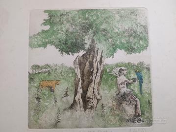 IL SOGNO DELLE TAMERICI RiccardoRUBERTI) CERTIFICA