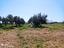 Immagine 26