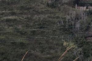 Terreno in contrada Messinese rif. AZO-5025