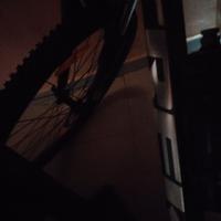 Trek mtb