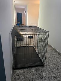 Kennel per cani