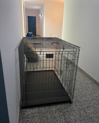 Kennel per cani
