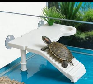 Piattaforma per tartarughe d'acqua