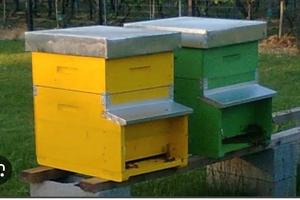 Terreno per apicoltura in zona collinare