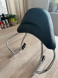 Harley Davidson FLSTS