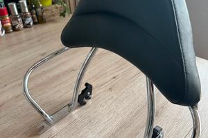 Harley Davidson FLSTS