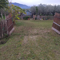 Terreno agricolo