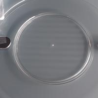 Sotto piatti Guzzini