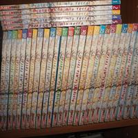 MANGA PROTEGGI LA MIA TERRA  serie co.ta