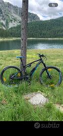 E-BIKE CENTURION