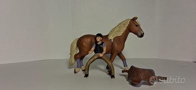 cavallerizza con cavallo Schelich