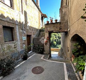 2 LOCALI A ISCHIA DI CASTRO